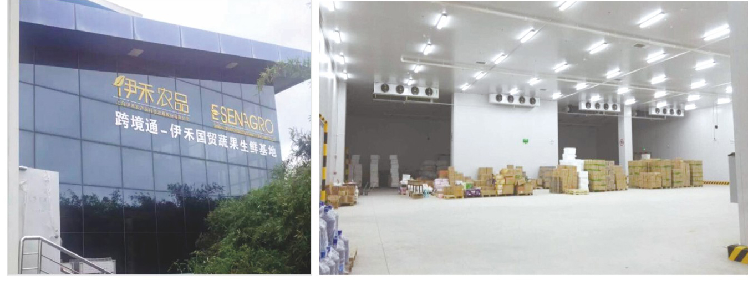 跨境通-伊禾國(guó)貿(mào)蔬果生鮮基地冷庫(kù)工程