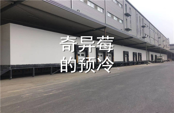 奇異莓的預冷.jpg