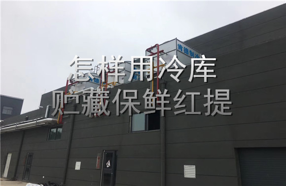 怎樣用冷庫貯藏保鮮紅提.jpg