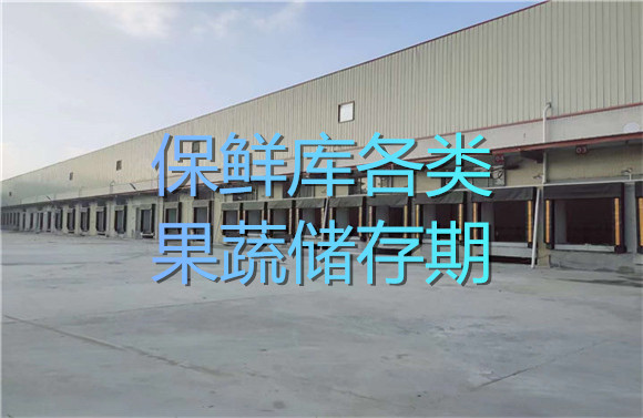 保鮮庫各類果蔬儲(chǔ)存期.jpg